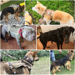 Nylon Tactical Dog Harness