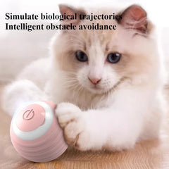 Interactive Cat Toy Ball 360° Automatic Rotating Rolling Ball